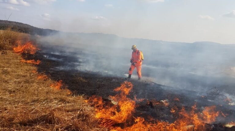 Bombeiros combatem várias ocorrências de incêndio em lote vago no município de Ituiutaba (MG)