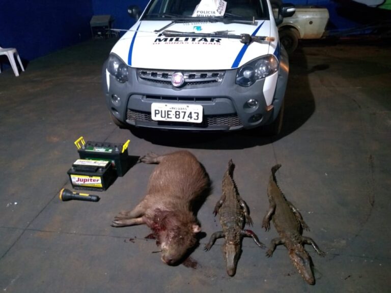 Polícia Militar prende três indivíduos por abate ilegal de animal silvestre e porte ilegal de arma de fogo em Centralina (MG)