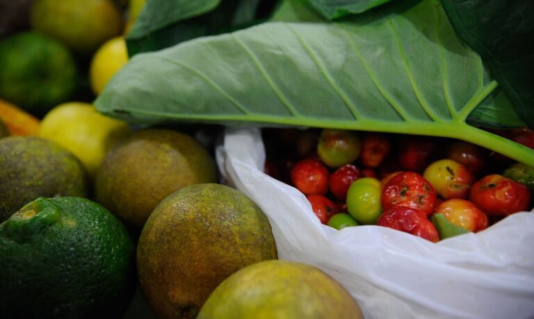 Estudo da USP mostra melhora no consumo de alimentos saudáveis; durante pandemia, aumentou ingestão de frutas, hortaliças e feijão