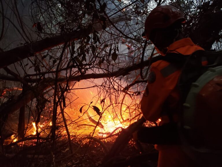 Bombeiros de Ituiutaba são acionados para combater incêndio de grandes proporções em Fazenda em Canápolis (MG)