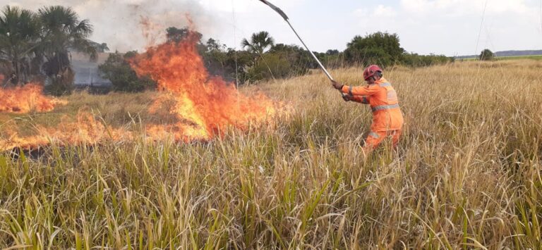 CBMMG combate incêndio na Fazenda Chácara Pouso Alegre, em Ituiutaba
