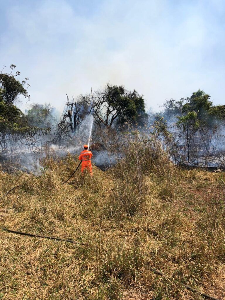 Bombeiros são acionados para combater incêndio próximo ao Ribeirão São Lourenço, em Ituiutaba