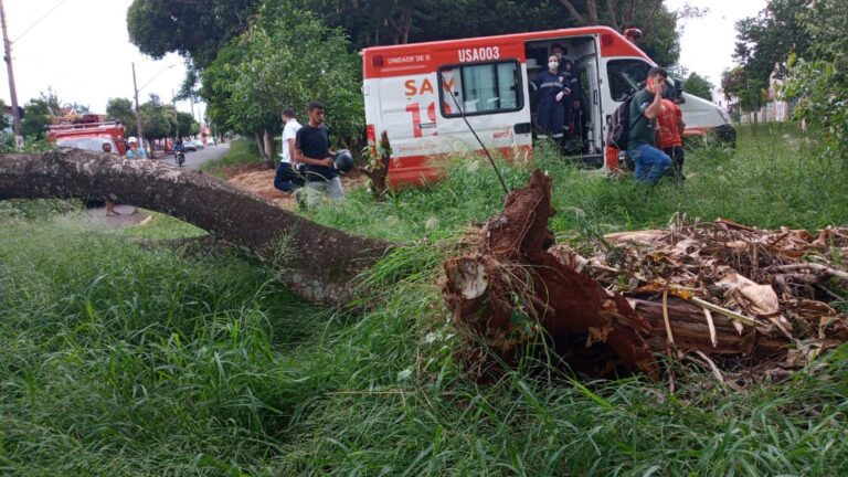Árvore cai em cima de motociclista na Avenida Minas Gerais, em Ituiutaba