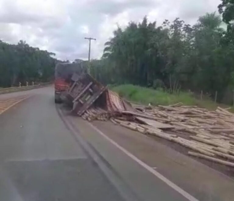 Carreta carregada de madeira tomba na na BR -365, próximo a Ponte do Rio Tijuco, em Ituiutaba
