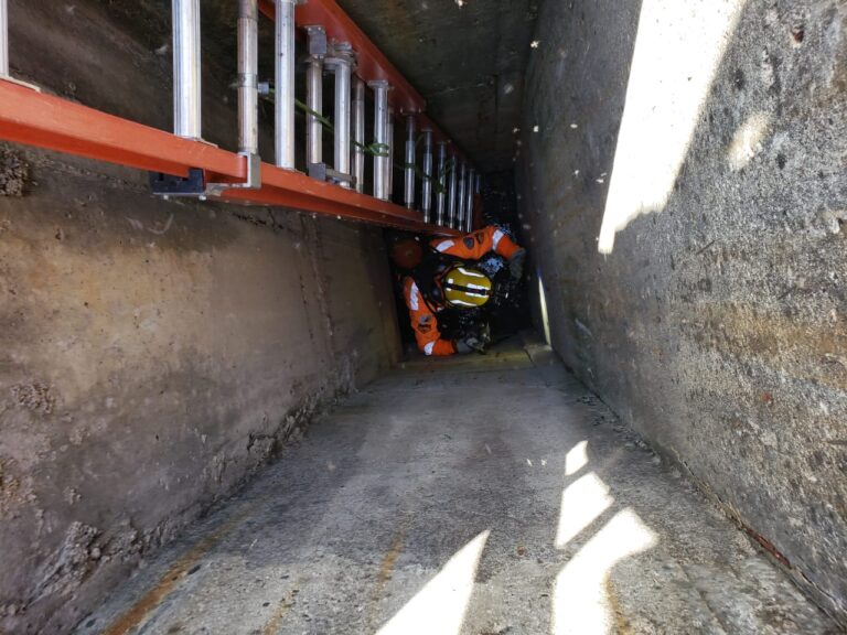 CBMMG resgata filhote de gato preso em estação de tratamento de esgoto na cidade de Prata (MG)