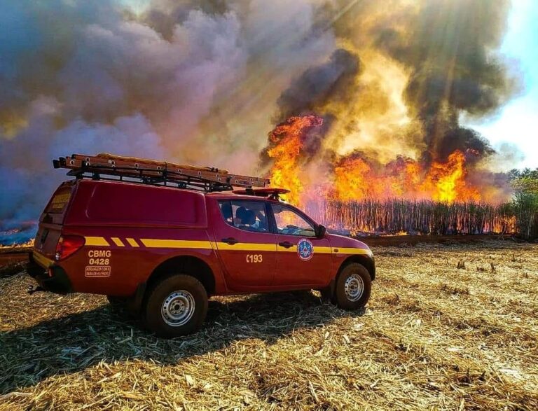 Incêndio em fazenda no município de Gurinhatã consome mais de 1 milhão de m² de vegetação
