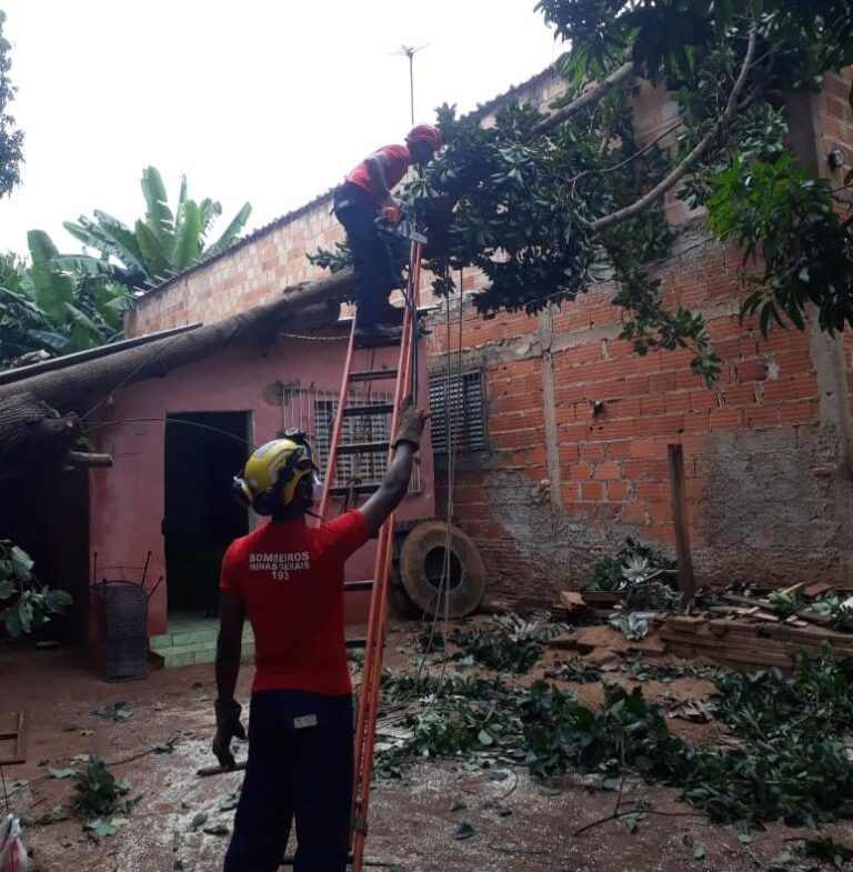 CBMMG corta árvore que caiu sobre residência no Centro de Ituiutaba