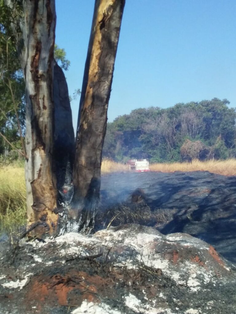 CBMMG combate incêndio em vegetação no Anel Viário em Ituiutaba
