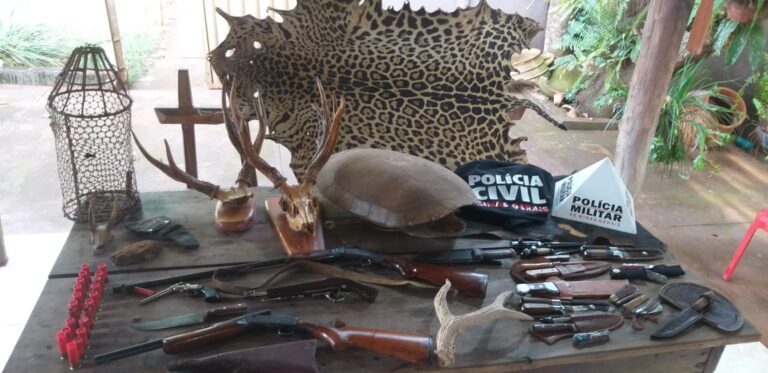 Ituiutaba: polícias Civil e Ambiental deflagram operação conjunta