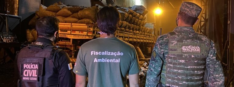 Governo realiza Operação Lastro III para combater comércio ilegal de carvão