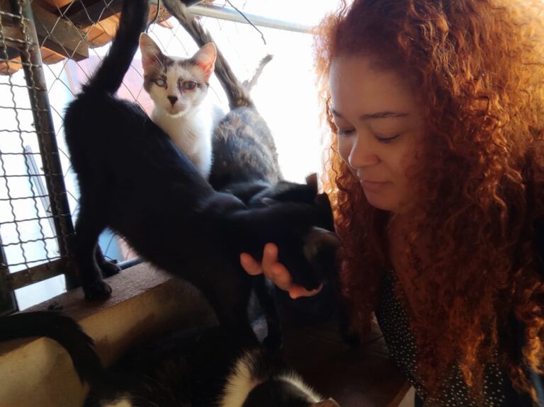 Casa da Leydi de Ituiutaba pede ajuda com doações para cuidar de mais de 40 animais recolhidos