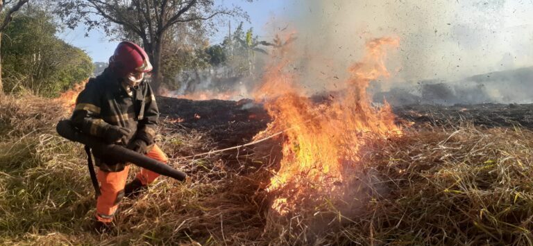 CBMMG combate incêndio às margens de córrego em Ituiutaba