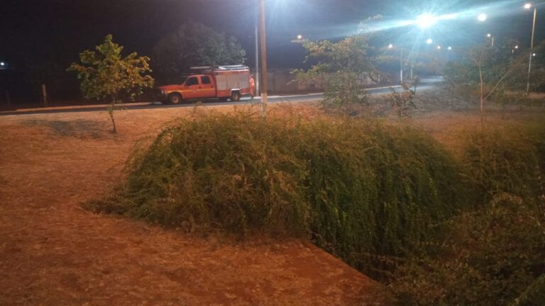 CBMMG resgata cachorro dentro de córrego no Bairro Progresso