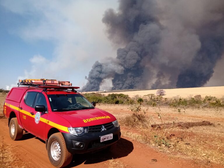 Fogo consome cerca de cinco mil hectares de cana e pasto, em Gurinhatã