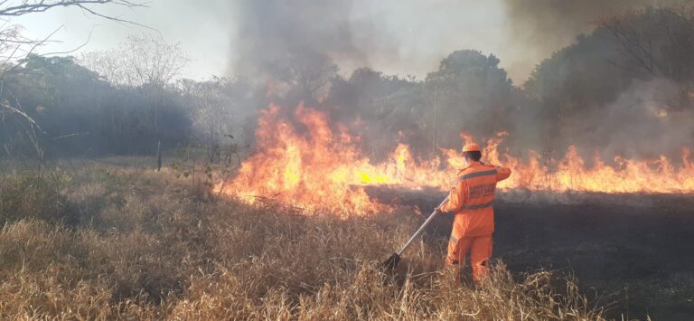 CBMMG combate incêndio em área às margens do Córrego Pirapitinga, em Ituiutaba