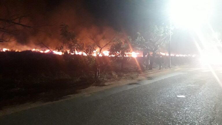 CBMMG combate incêndio criminoso em vegetação na área urbana de Ituiutaba