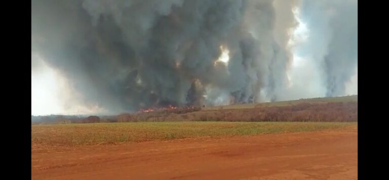 Homem morre após incêndio em canavial atingir ônibus na zona rural de Ituiutaba