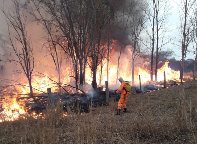 CBMMG combate incêndio na Fazenda Capão da Lago, em Ituiutaba