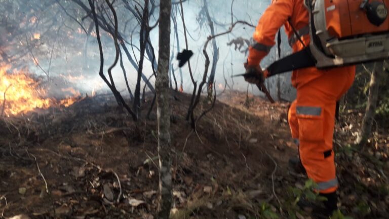 CBMMG combate incêndio em vegetação no município de Gurinhatã (MG)