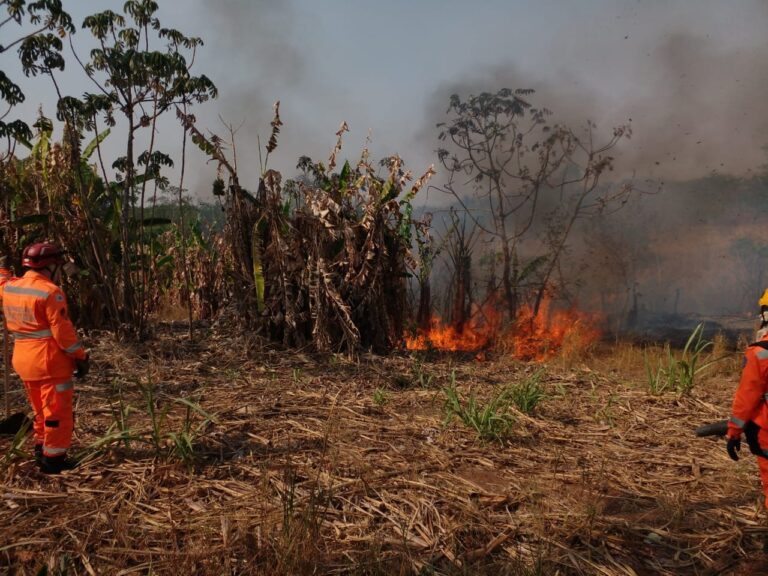CBMMG combate incêndio em vegetação no Bairro Novo Tempo 2