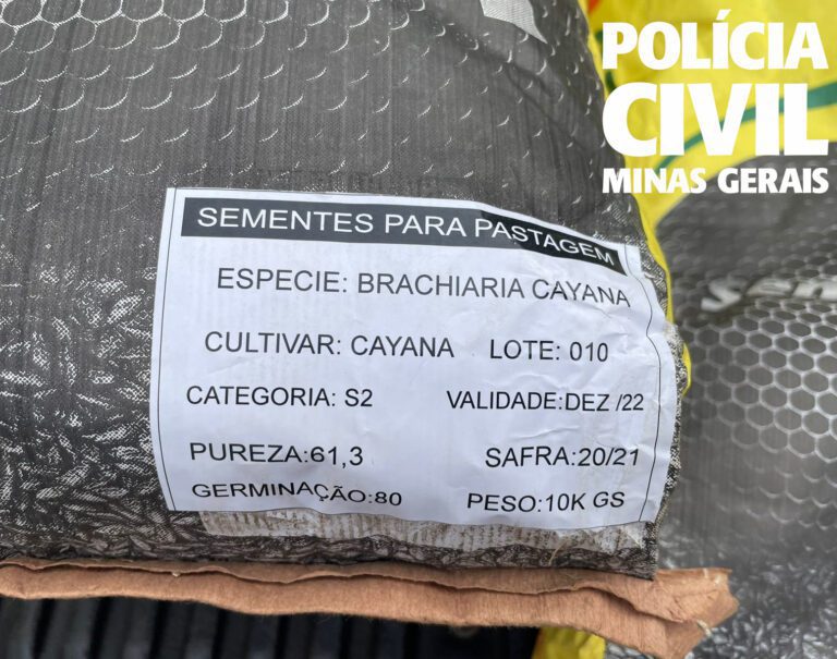 PCMG prende em Ituiutaba duas pessoas vendendo sementes falsas