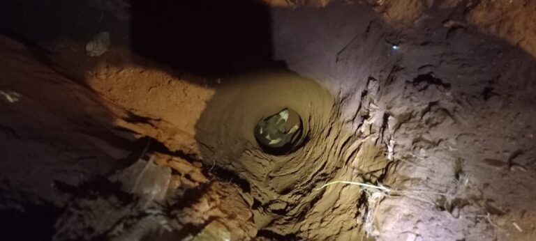 Cachorro é resgatado em Ituiutaba pelo CBMMG após cair dentro de buraco de construção