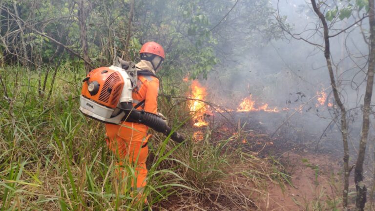 CBMMG combate incêndio no Parque Goiabal