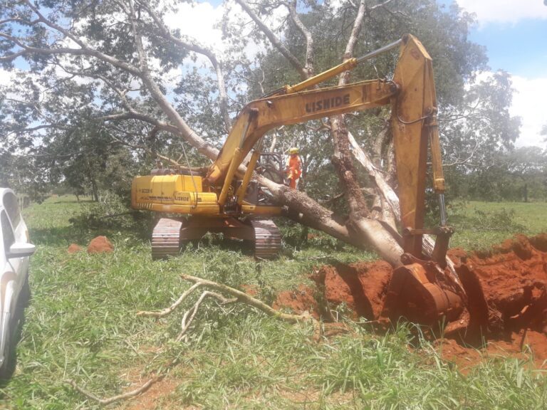 Árvore cai e esmaga operador da máquina em Santa Vitória (MG)