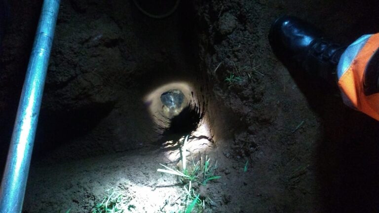 Cachorro é resgatado em Ituiutaba de buraco em obra pelo CBMMG