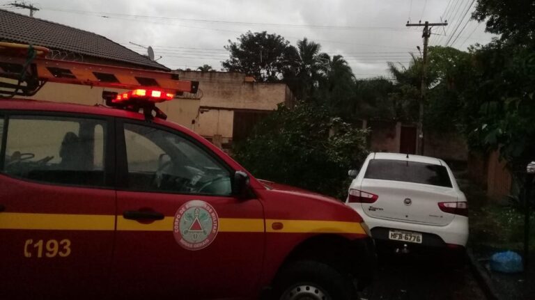 Temporal derruba árvore no Bairro Lagoa Azul I e CBMMG é acionado
