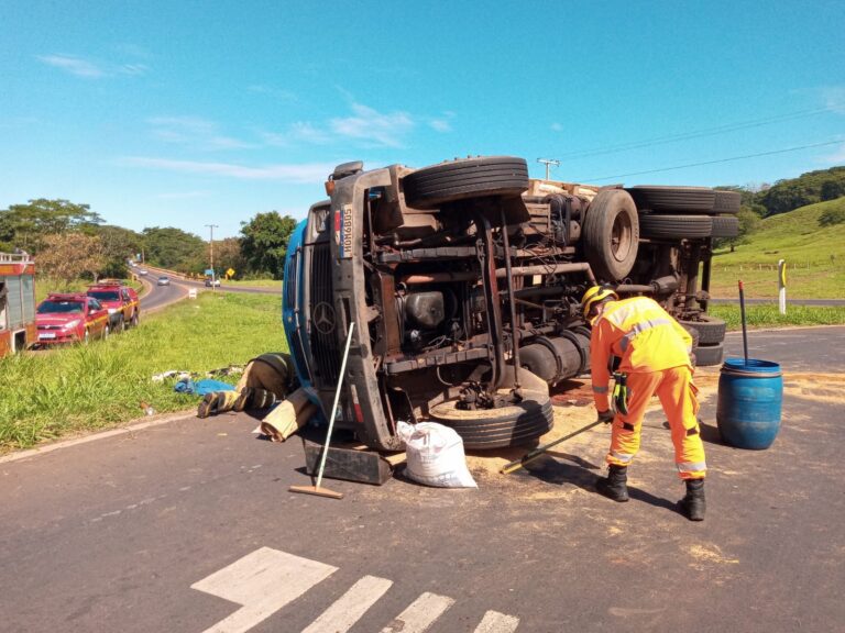 Caminhão carregado com couro de boi tomba na BR-365, em Ituiutaba