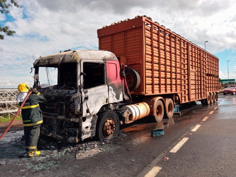 Carreta carregada com gado pega fogo na BR-365, em Ituiutaba