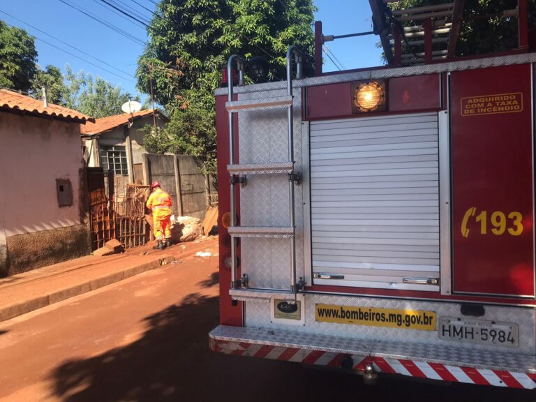 Cachorro fica preso em portão de casa em Ituiutaba e precisa ser resgatado pelo CBMMG