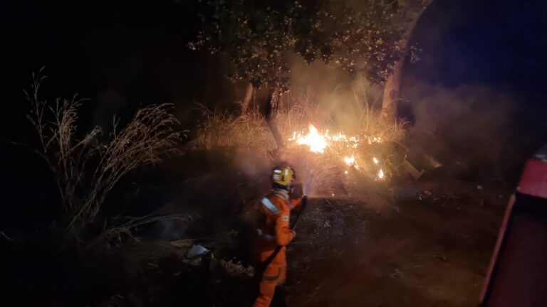 CBMMG combate incêndio em vegetação no Residencial Jardim Europa 2