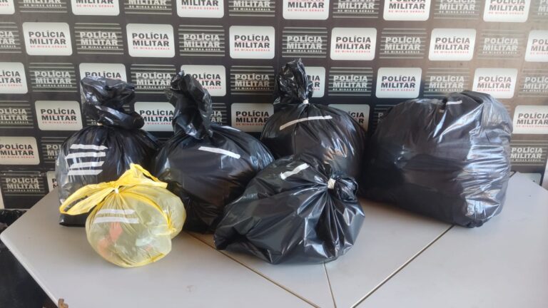 PM recupera mercadoria furtada de loja no Bairro Junqueira