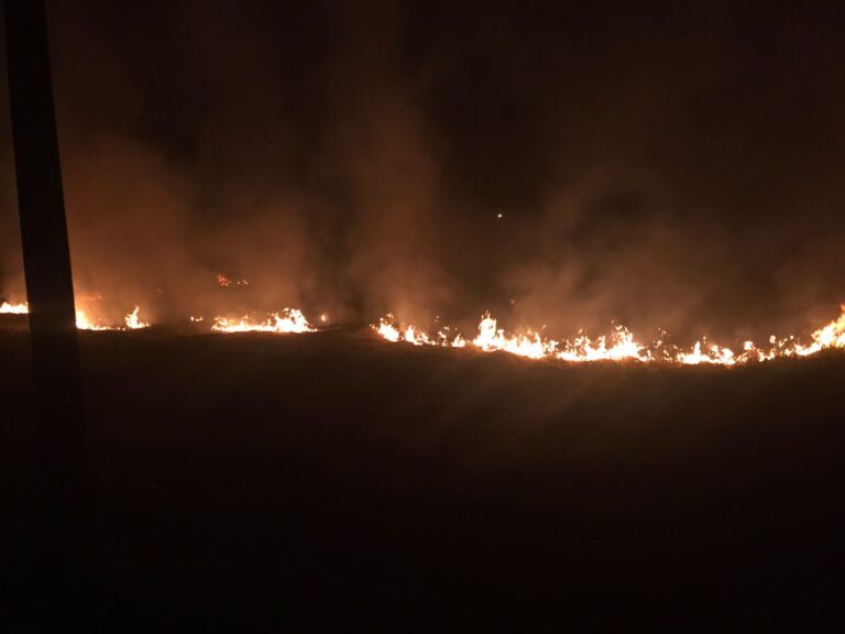 CBMMG combate incêndio em vegetação próximo ao bairro Drummond 2