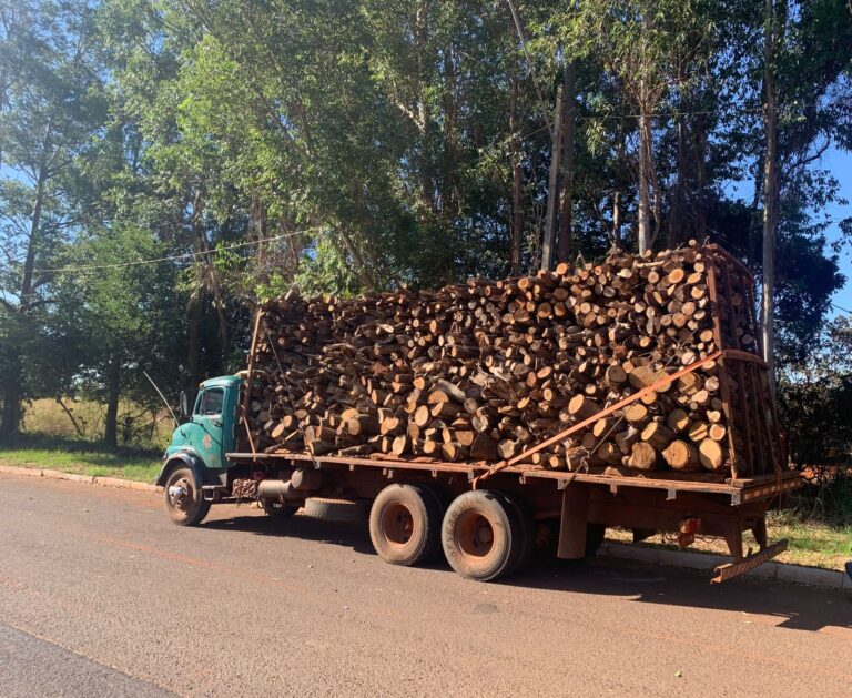 Polícia Ambiental de Ituiutaba aplica R$ 317.891,68 em multas durante operação de combate ao desmatamento