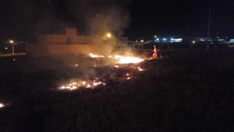 Incêndio em vegetação é combatido pelo CBMMG, em Ituiutaba (MG)