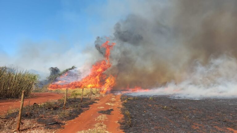 Incêndio criminoso na zona rural de Ituiutaba consome cerca de 140 campos de futebol