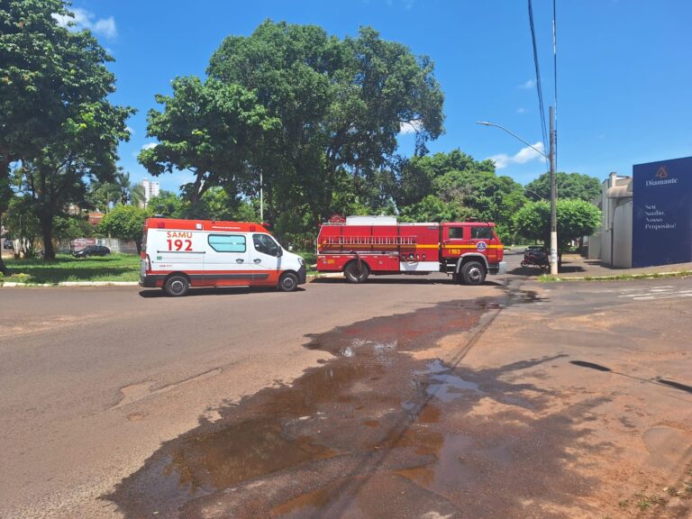 URGENTE: Avenida José João Dib fica interditada após ataque de abelhas; três pessoas foram atacadas