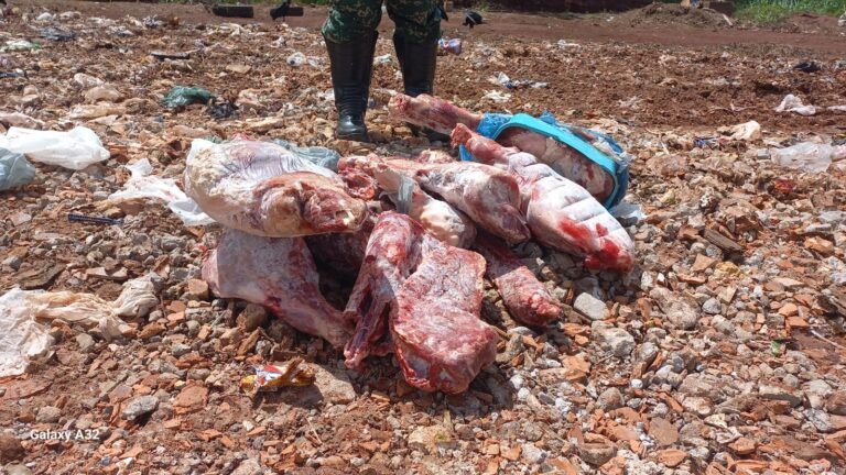 Bar em Ituiutaba é denunciado por vender carne de Javali