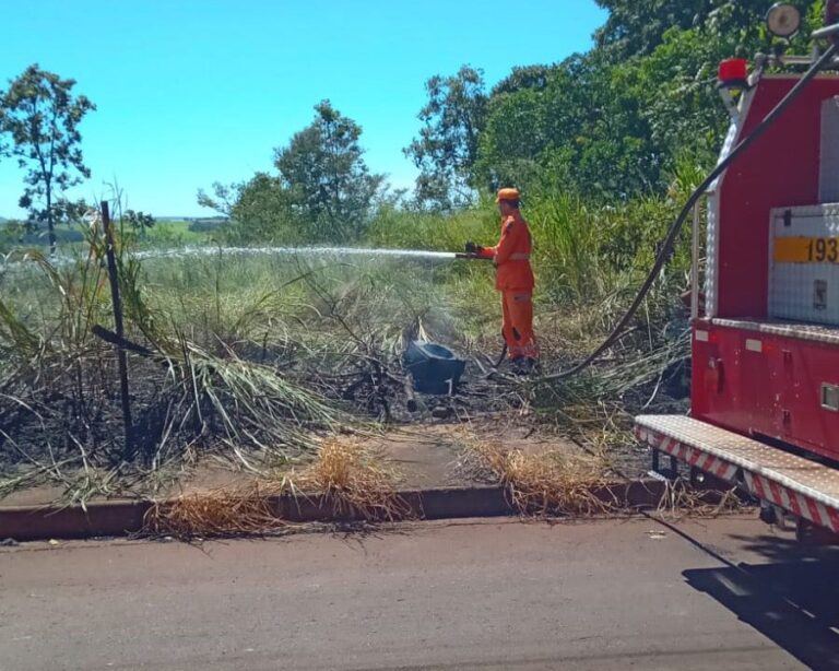 CBMMG combate incêndio em terreno baldio no Bairro Satélite Andradina