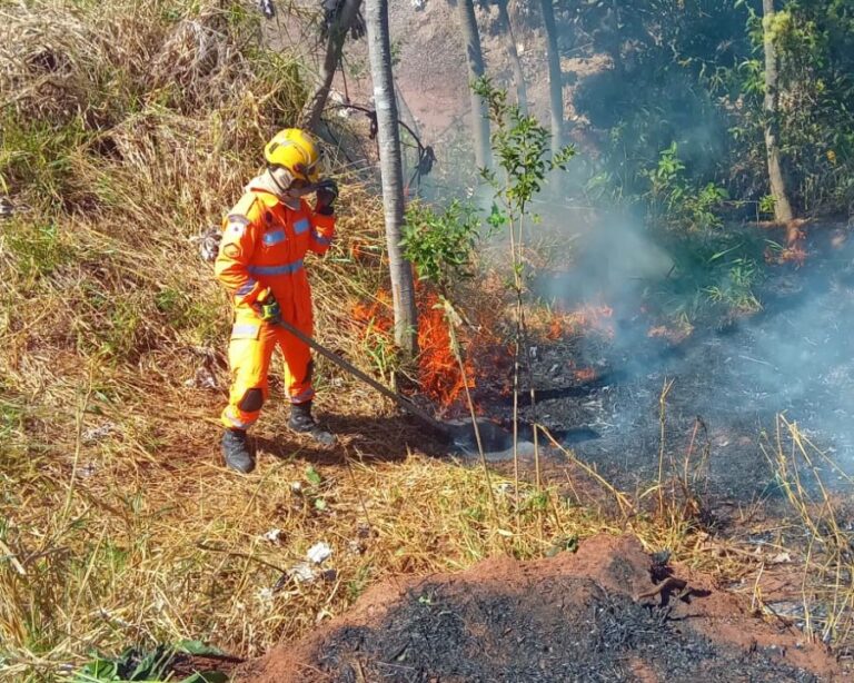 CBMMG de Ituiutaba combate diversos pontos de incêndios vegetais na cidade