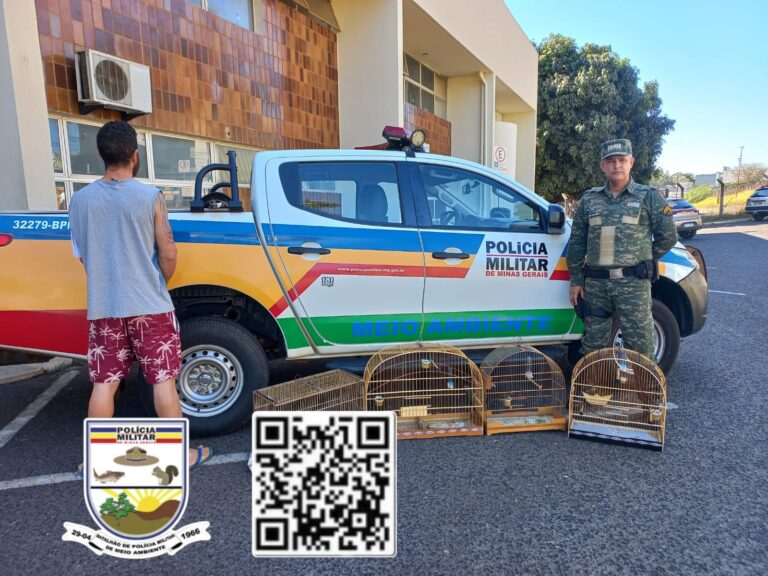 Polícia Militar Ambiental conduz suspeito de caça ilegal de pássaros na BR-365