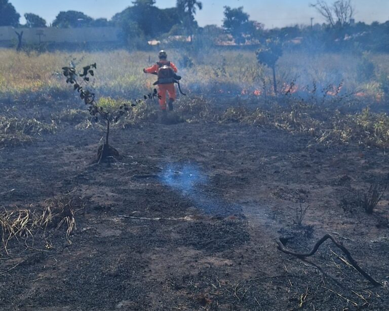 CBMMG combate incêndio no Bairro Pirapitinga, em Ituiutaba