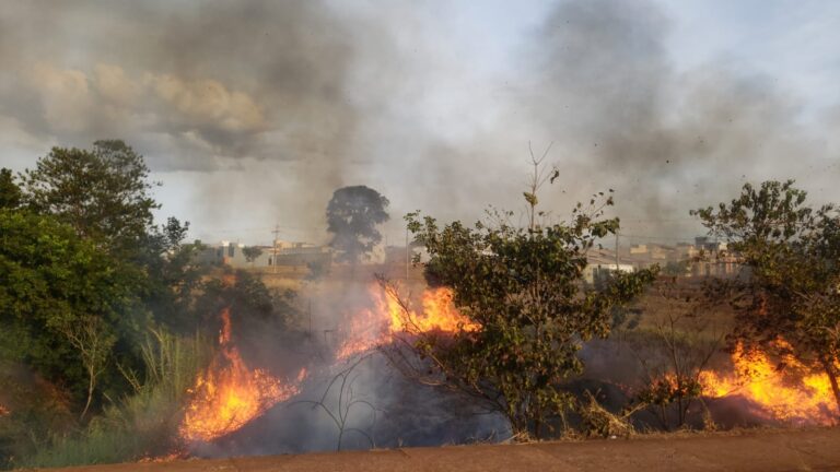 CBMMG de Ituiutaba atende múltiplos incêndios em vegetação em um único dia na cidade Tijucana