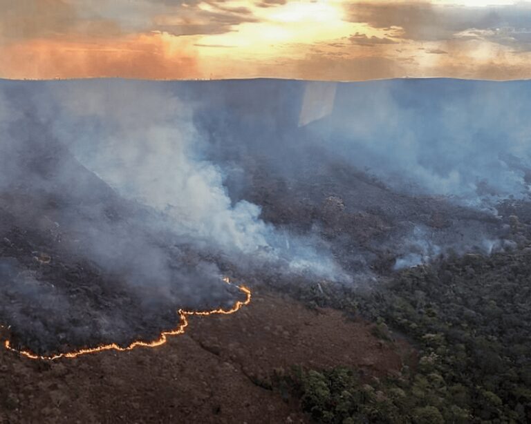 Novo incêndio destrói 2 mil hectares no Parque Nacional da Chapada dos Veadeiros