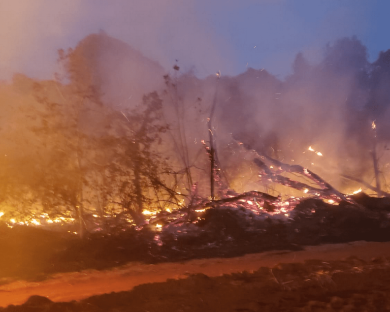 Incêndio destrói Parque do Goiabal em Ituiutaba