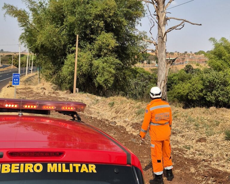 Bombeiros de Ituiutaba realizam ação preventiva em rodovias da região