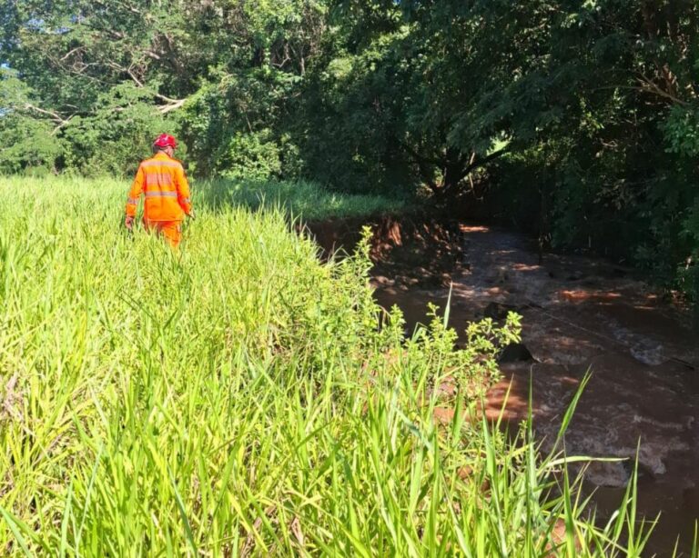 Homem desaparece após ser arrastado por enxurrada em Capinópolis